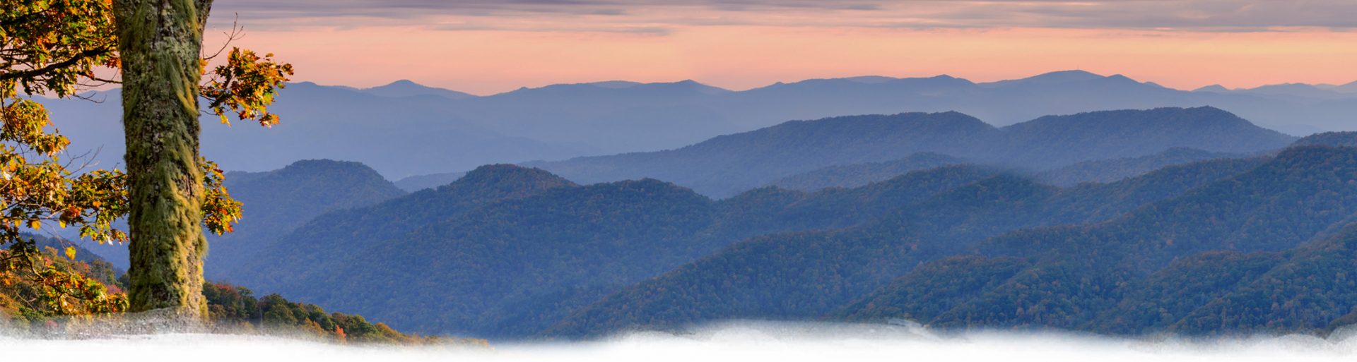 Travel Guide Firefly Gatlinburg